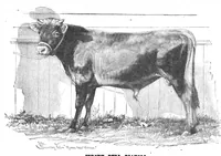 An illustration from Scientific American, Vol. 57, No. 27 (December 1887) (1887)