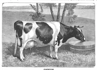 An illustration from Scientific American, Vol. 57, No. 27 (December 1887) (1887)
