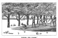 Picture 8 of 14 from Scientific American, Vol. 58, No. 2 (January 1888) (1888), leaf 7