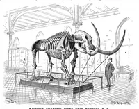 An illustration from Scientific American, Vol. 58, No. 3 (January 1888) (1888)