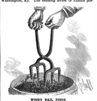 Picture 4 of 11 from Scientific American, Vol. 58, No. 5 (February 1888) (1888), leaf 4