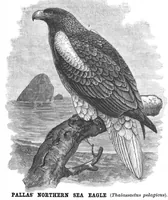 Picture 9 of 10 from Scientific American, Vol. 58, No. 10 (March 1888) (1888), leaf 10