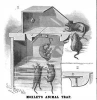 An illustration from Scientific American, Vol. 58, No. 14 (April 1888) (1888)