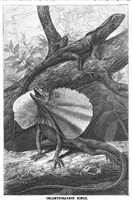 An illustration from Scientific American, Vol. 58, No. 14 (April 1888) (1888)