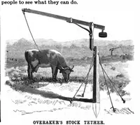 Picture 2 of 16 from Scientific American, Vol. 58, No. 19 (May 1888) (1888), leaf 3