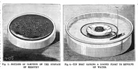 Picture 15 of 18 from Scientific American, Vol. 58, No. 21 (May 1888) (1888), leaf 10
