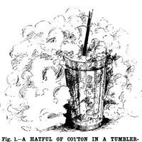 Picture 14 of 16 from Scientific American, Vol. 59, No. 2 (July 1888) (1888), leaf 10