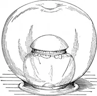 An illustration from Scientific American, Vol. 59, No. 4 (July 1888) (1888)