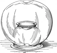 An illustration from Scientific American, Vol. 59, No. 4 (July 1888) (1888)