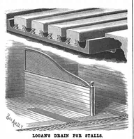 Picture 7 of 14 from Scientific American, Vol. 59, No. 8 (August 1888) (1888), leaf 5