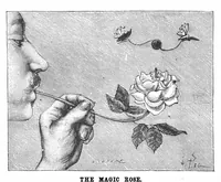 Picture 12 of 14 from Scientific American, Vol. 59, No. 8 (August 1888) (1888), leaf 8