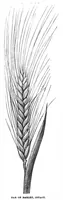 An illustration from Scientific American, Vol. 59, No. 9 (September 1888) (1888)