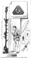 Picture 8 of 13 from Scientific American, Vol. 59, No. 10 (September 1888) (1888), leaf 8