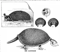 An illustration from Scientific American, Vol. 59, No. 15 (October 1888) (1888)