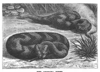 Picture 7 of 11 from Scientific American, Vol. 59, No. 17 (October 1888) (1888), leaf 7