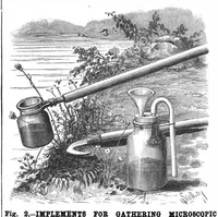 An illustration from Scientific American, Vol. 59, No. 18 (November 1888) (1888)