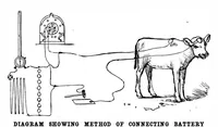 Picture 13 of 13 from Scientific American, Vol. 59, No. 25 (December 1888) (1888), leaf 10
