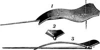 Picture 12 of 23 from Scientific American, Vol. 59, No. 26 (December 1888) (1888), leaf 6