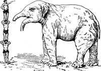 An illustration from Scientific American, Vol. 59, No. 26 (December 1888) (1888)