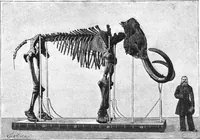An illustration from Scientific American, Vol. 59, No. 26 (December 1888) (1888)