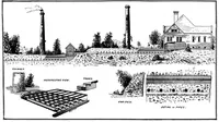Picture 7 of 10 from Scientific American, Vol. 60, No. 8 (February 1889) (1889), leaf 7