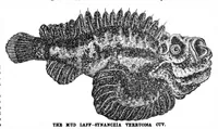 An illustration from Scientific American, Vol. 60, No. 15 (April 1889) (1889)