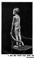 An illustration from Scientific American, Vol. 60, No. 19 (May 1889) (1889)