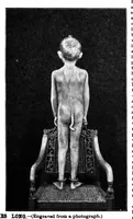 Picture 9 of 14 from Scientific American, Vol. 60, No. 19 (May 1889) (1889), leaf 8