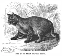 Picture 9 of 15 from Scientific American, Vol. 60, No. 24 (June 1889) (1889), leaf 8