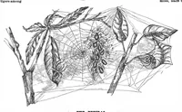 Picture 7 of 11 from Scientific American, Vol. 61, No. 2 (July 1889) (1889), leaf 8