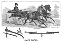 Picture 2 of 9 from Scientific American, Vol. 61, No. 4 (July 1889) (1889), leaf 4