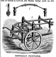 Picture 8 of 18 from Scientific American, Vol. 61, No. 5 (August 1889) (1889), leaf 4