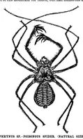 An illustration from Scientific American, Vol. 61, No. 14 (October 1889) (1889)