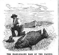 An illustration from Scientific American, Vol. 61, No. 17 (October 1889) (1889)