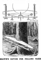 Picture 5 of 10 from Scientific American, Vol. 61, No. 25 (December 1889) (1889), leaf 4