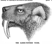Picture 7 of 10 from Scientific American, Vol. 61, No. 25 (December 1889) (1889), leaf 7