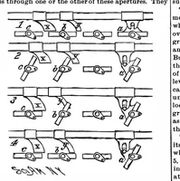 Picture 5 of 11 from Scientific American, Vol. 62, No. 7 (February 1890) (1890), leaf 5