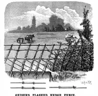 Picture 8 of 14 from Scientific American, Vol. 62, No. 9 (March 1890) (1890), leaf 5