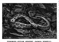 Picture 15 of 18 from Scientific American, Vol. 62, No. 21 (May 1890) (1890), leaf 9