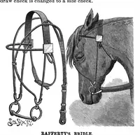 An illustration from Scientific American, Vol. 63, No. 3 (July 1890) (1890)