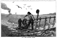 Picture 11 of 17 from Scientific American, Vol. 63, No. 7 (August 1890) (1890), leaf 7