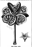 Picture 10 of 14 from Scientific American, Vol. 63, No. 11 (September 1890) (1890), leaf 8