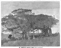 Picture 8 of 10 from Scientific American, Vol. 63, No. 14 (October 1890) (1890), leaf 8