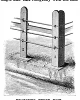 Picture 5 of 12 from Scientific American, Vol. 63, No. 15 (October 1890) (1890), leaf 5