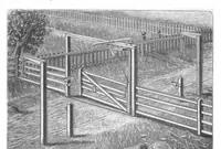 An illustration from Scientific American, Vol. 63, No. 19 (November 1890) (1890)