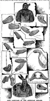 Picture 9 of 13 from Scientific American, Vol. 64, No. 2 (January 1891) (1891), leaf 8