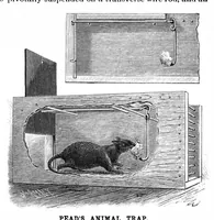 An illustration from Scientific American, Vol. 64, No. 3 (January 1891) (1891)