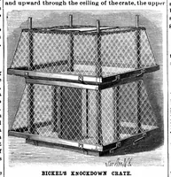 An illustration from Scientific American, Vol. 64, No. 6 (February 1891) (1891)