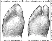 Picture 14 of 15 from Scientific American, Vol. 64, No. 12 (March 1891) (1891), leaf 10