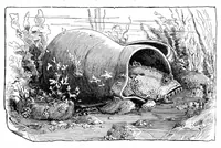 Picture 10 of 11 from Scientific American, Vol. 64, No. 13 (March 1891) (1891), leaf 8